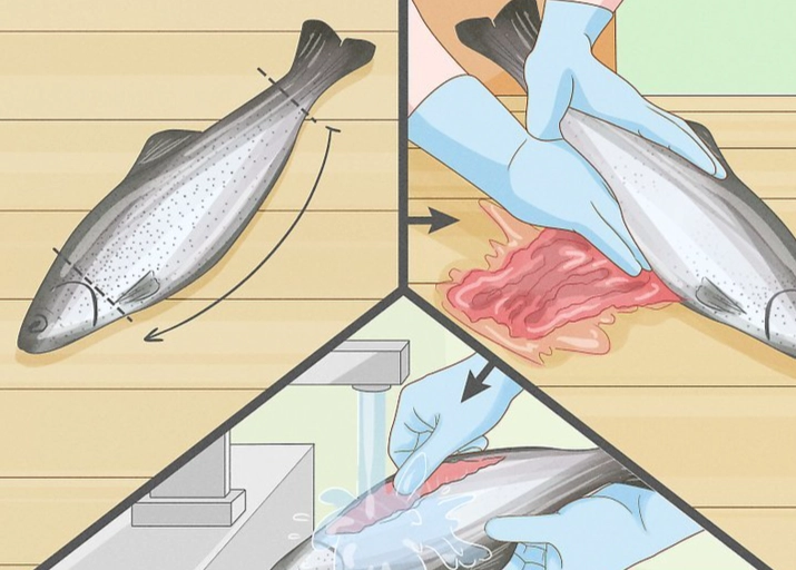 fish cleaning tutorial