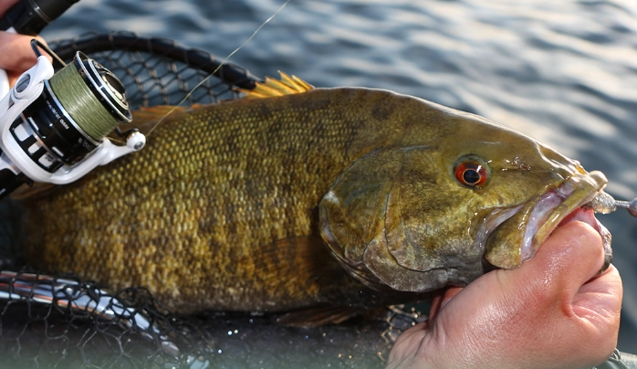 seasonal fishing guide