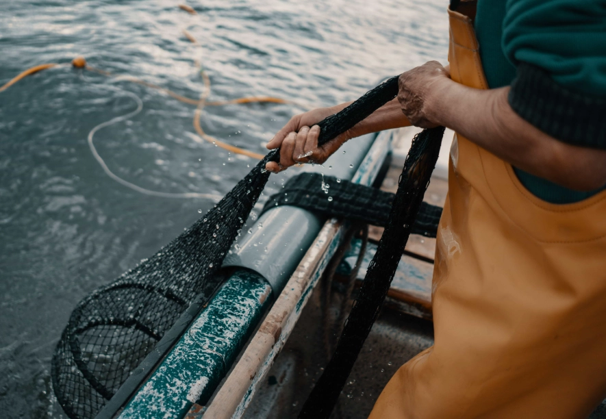 catch and release tips catch and release tips