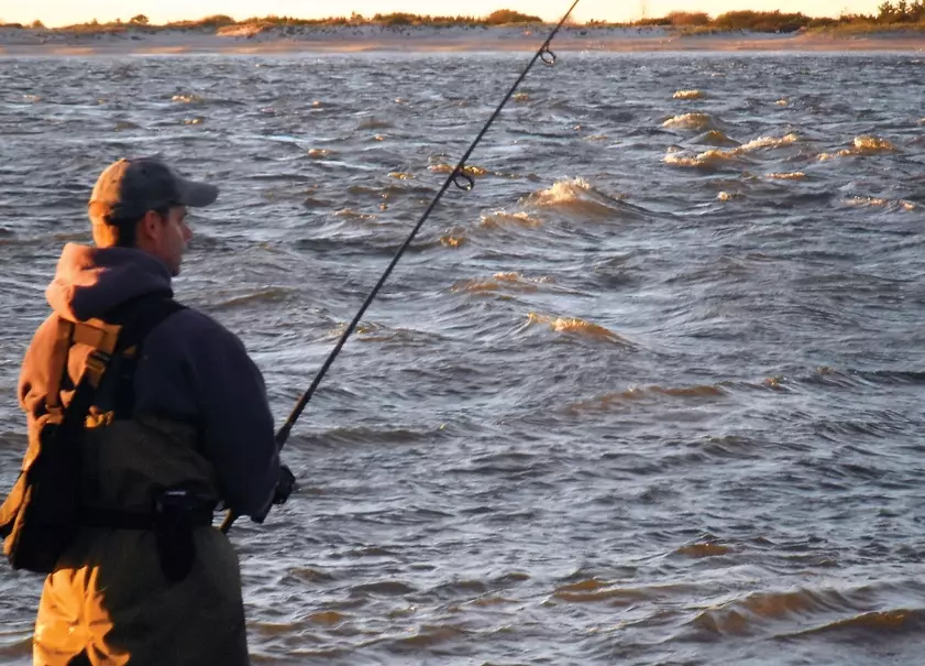 best tide for fishing best tide for fishing