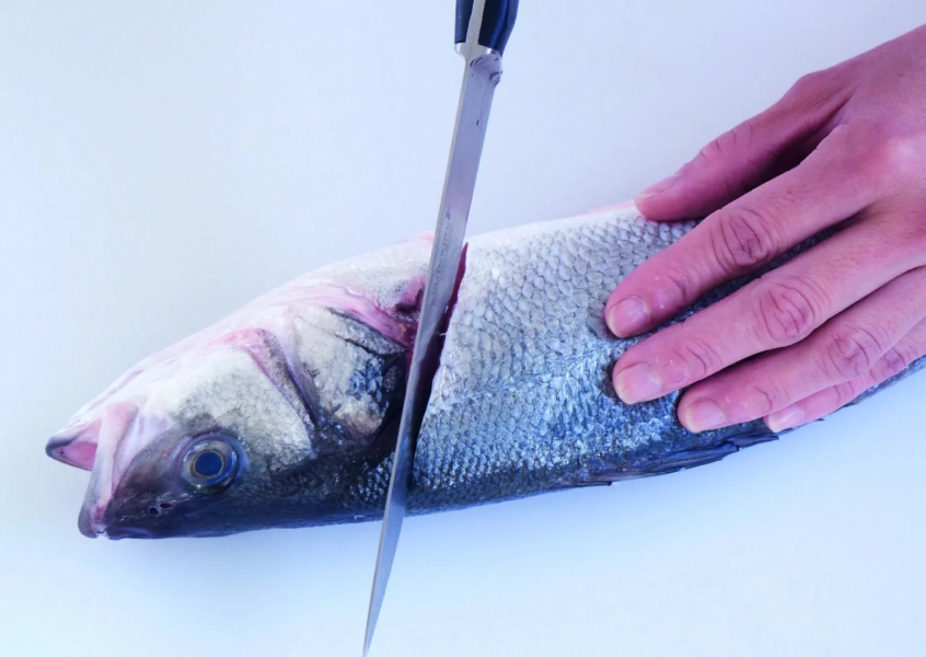 how to fillet a fish