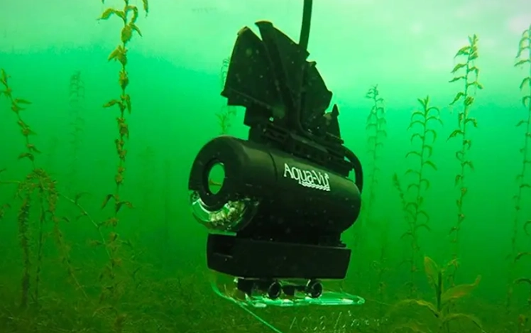 best underwater fishing camera best underwater fishing camera