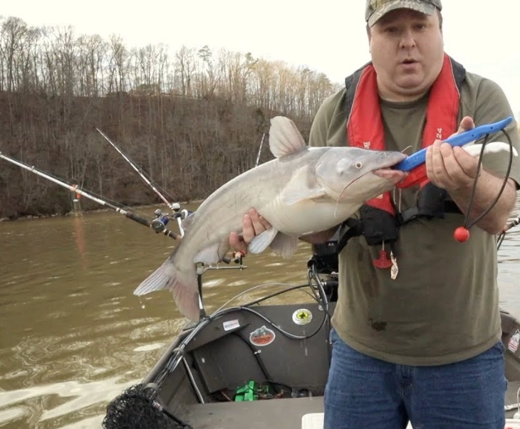 fishing solunar chart