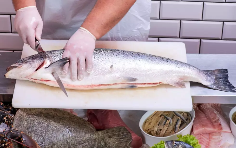 how to fillet a fish