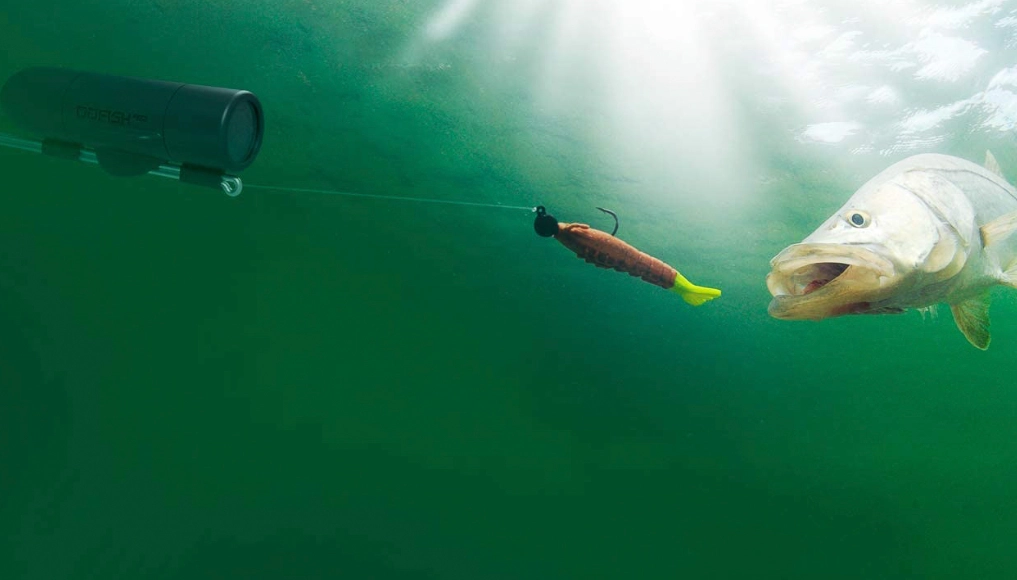 how to use fishing camera how to use fishing camera