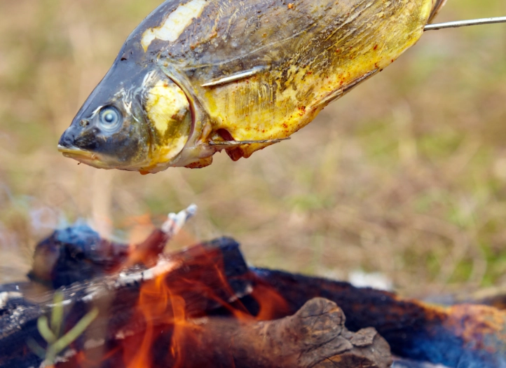campfire fish recipes