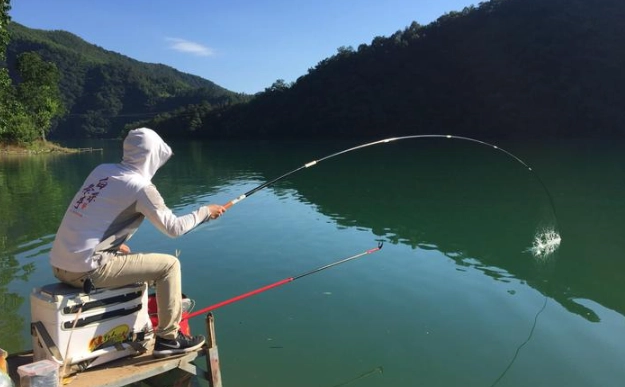 Pareto principle fishing