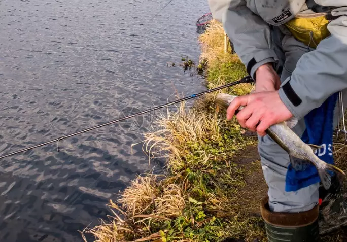 Pareto principle fishing