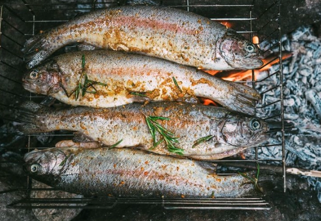 best fish for campfire cooking