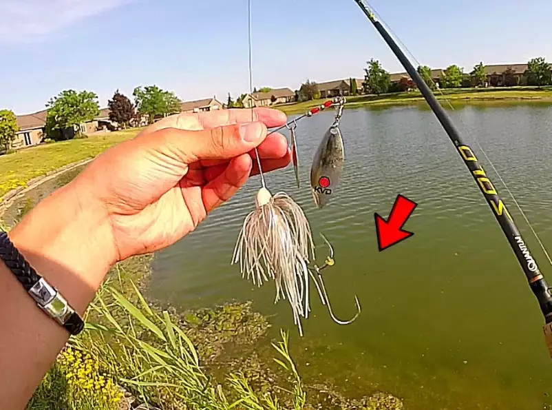 beginner fishing techniques beginner fishing techniques