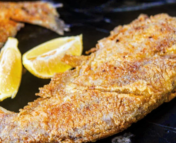 catfish recipes