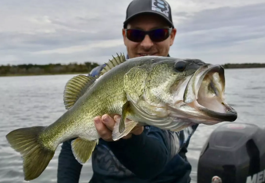 bass fishing tips bass fishing tips