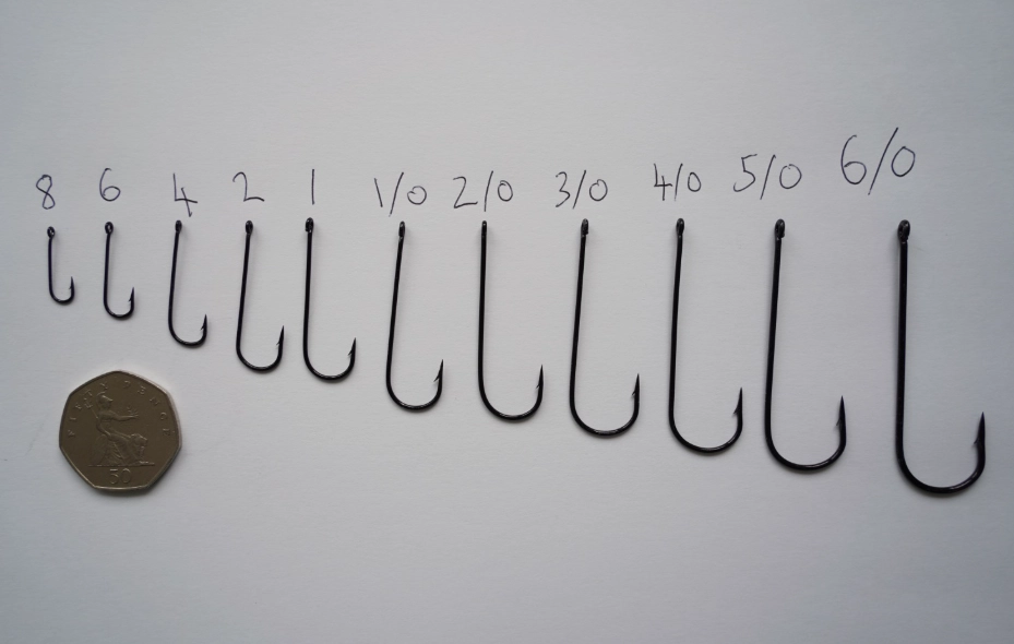 fishing for beginners