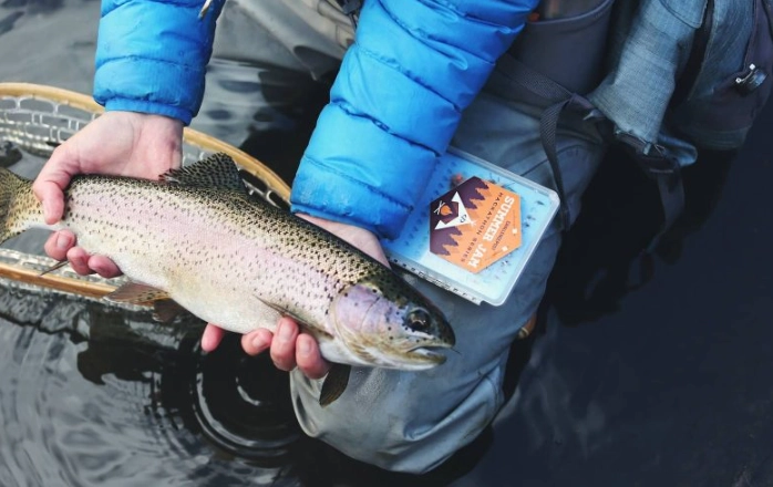 how to catch a fish step by step for beginners