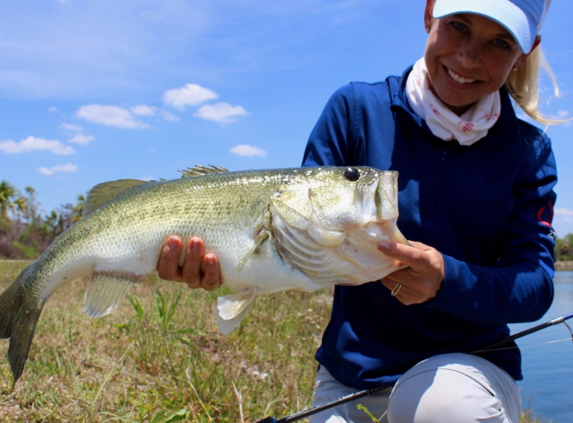 how to catch bass how to catch bass