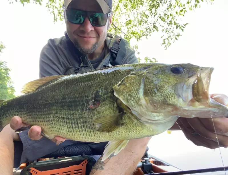 bass fishing tips bass fishing tips