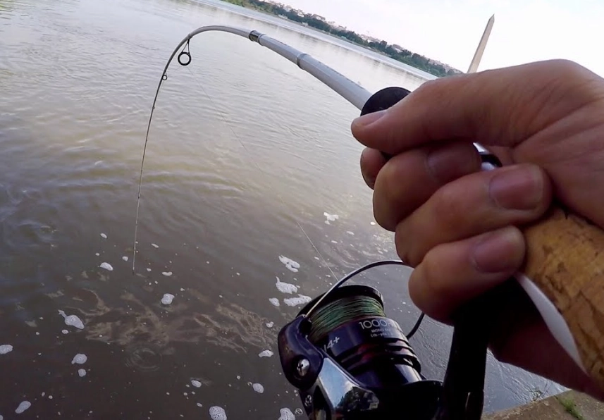 best fishing techniques best fishing techniques