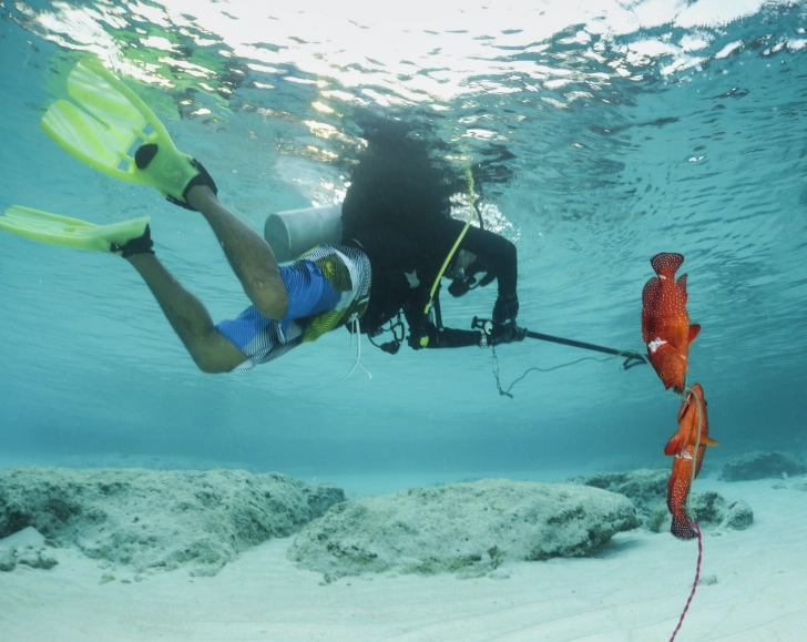 how to fish for beginners