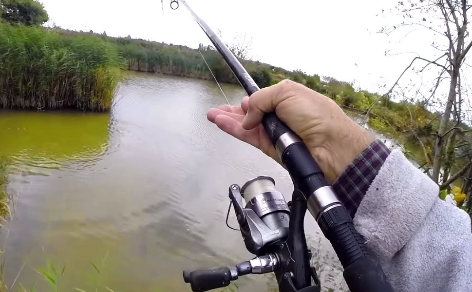 how to catch more fish how to catch more fish