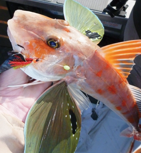 how to catch saltwater fish