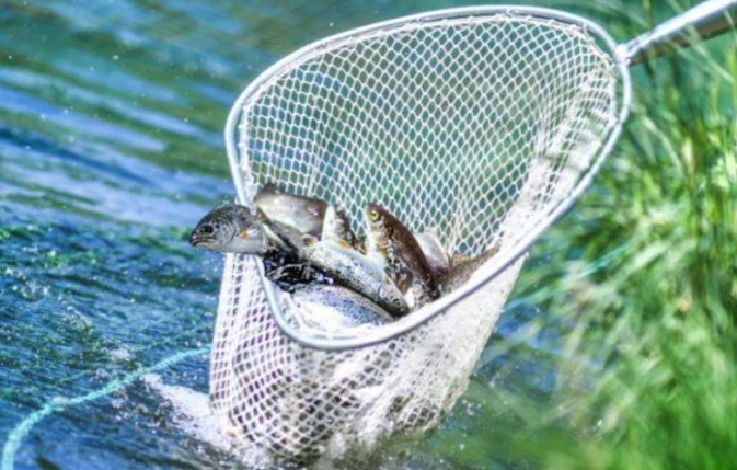 fishing tips for beginners