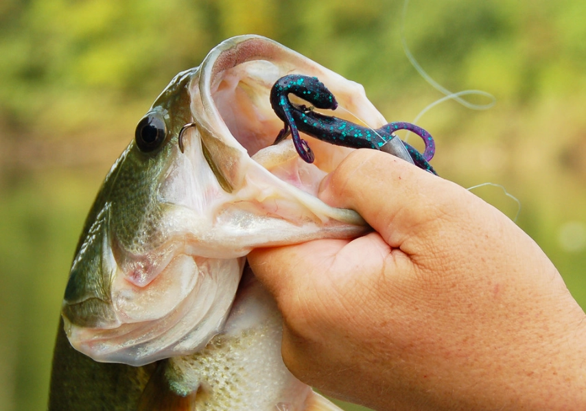 best bass lures best bass lures