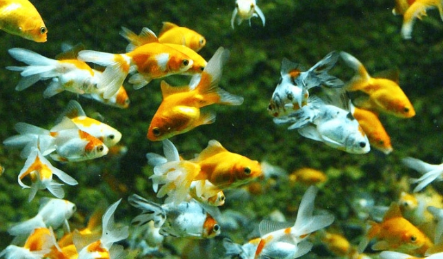 beginner fishing tips