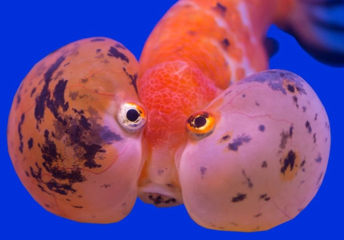 beginner fishing tips