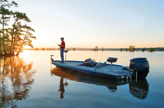 how to catch bass how to catch bass