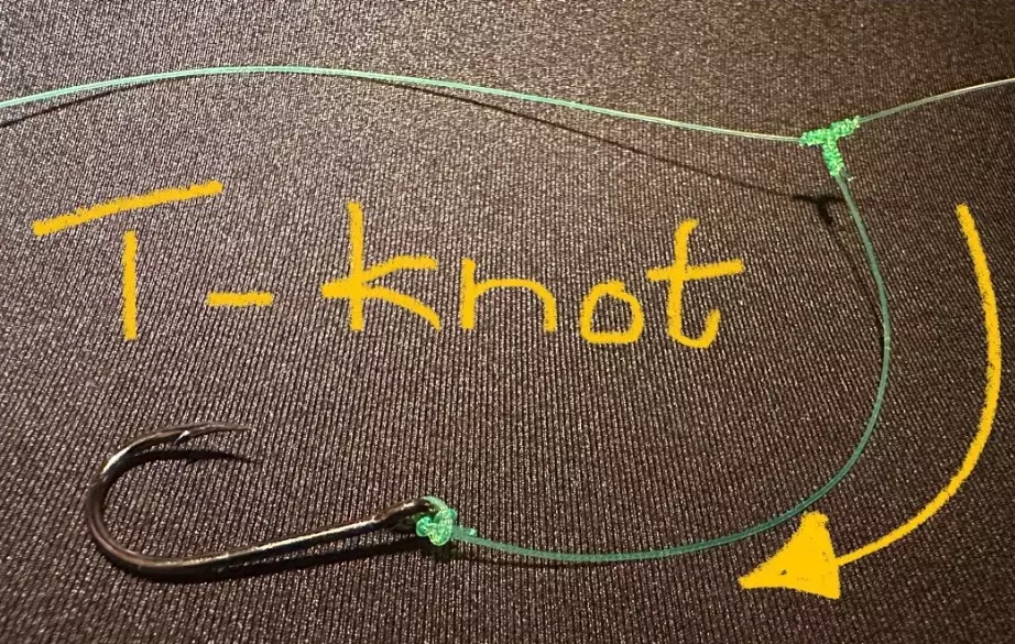 how to fishing step by step