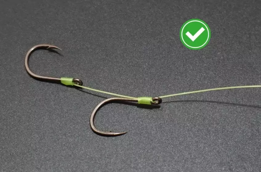 fishing for beginners