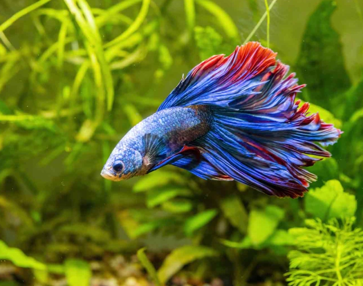 beginner fishing tips