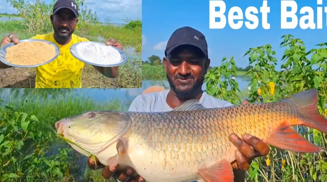 bait fishing techniques bait fishing techniques