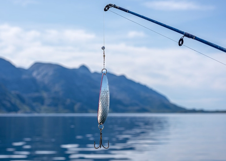 live bait fishing tips live bait fishing tips