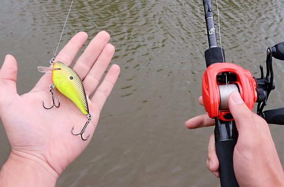 bait fishing techniques bait fishing techniques