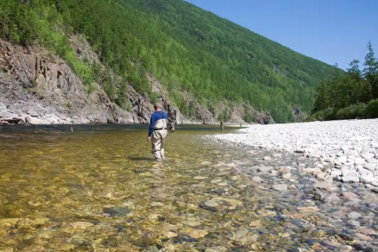 reading river currents for fish