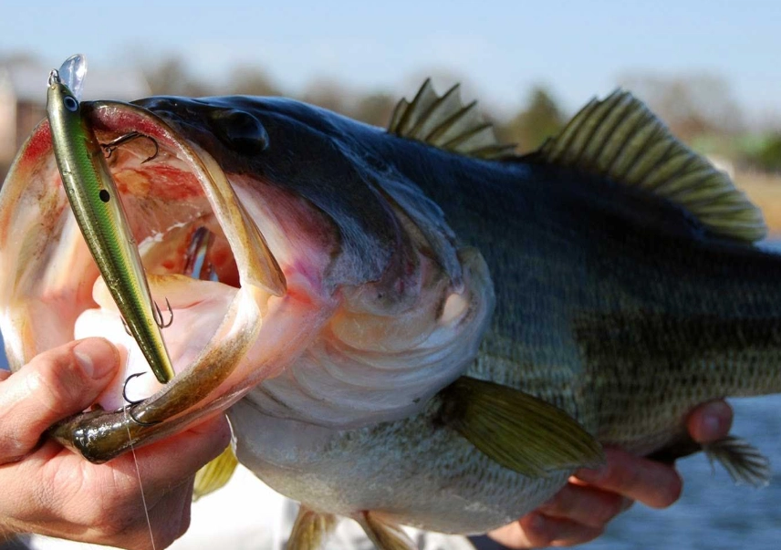 best fishing techniques