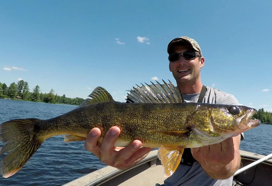walleye fishing techniques walleye fishing techniques