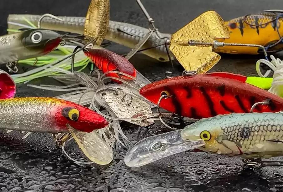 best fishing techniques