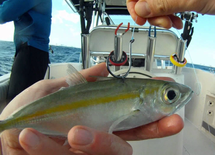 how to catch redfish