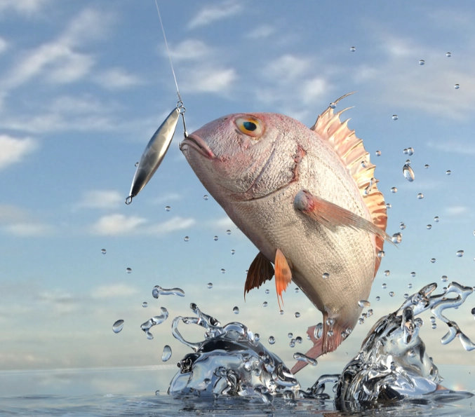 how to attract fish faster how to attract fish faster