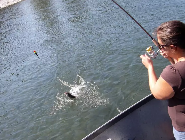 best salmon fishing locations best salmon fishing locations