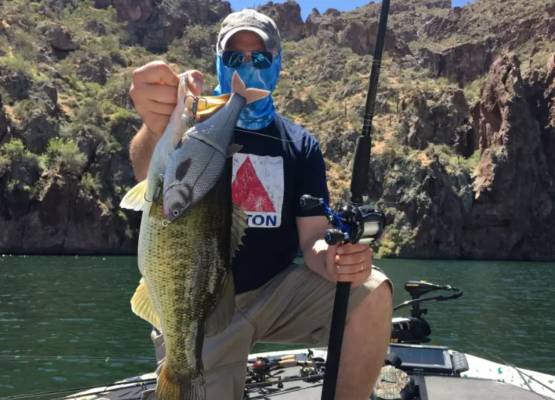 AZ fishing stocking