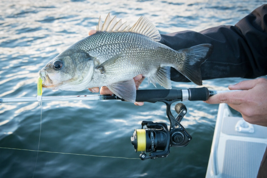 best freshwater fishing techniques best freshwater fishing techniques