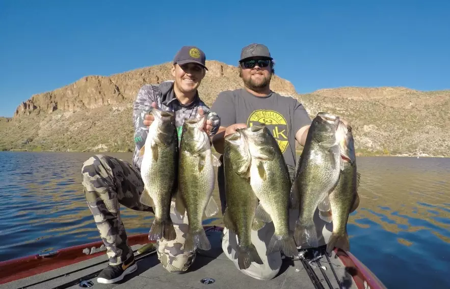 Arizona trout stocking schedule