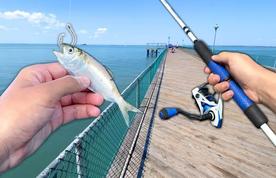 saltwater fishing techniques
