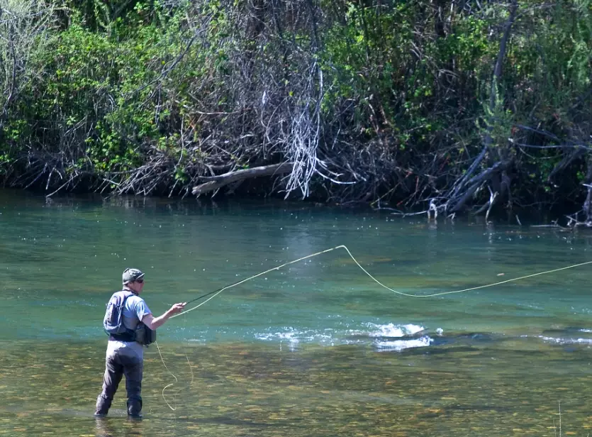 free fishing days California