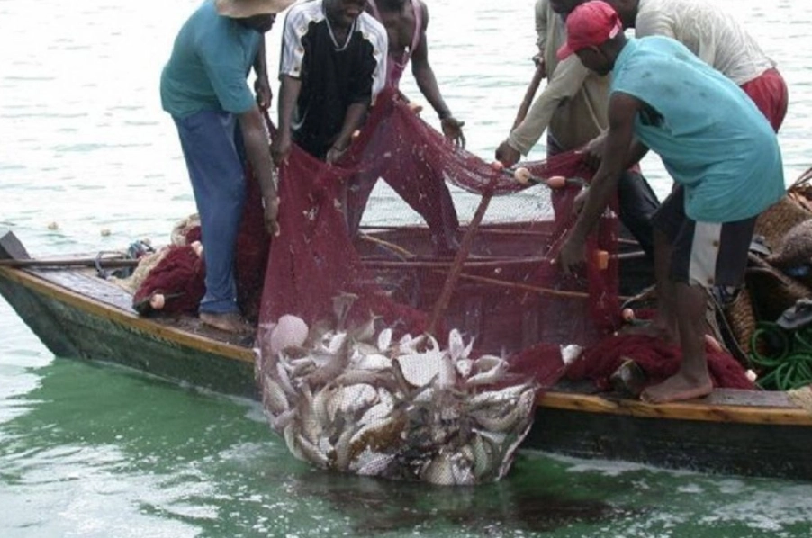 fishing popularity trends