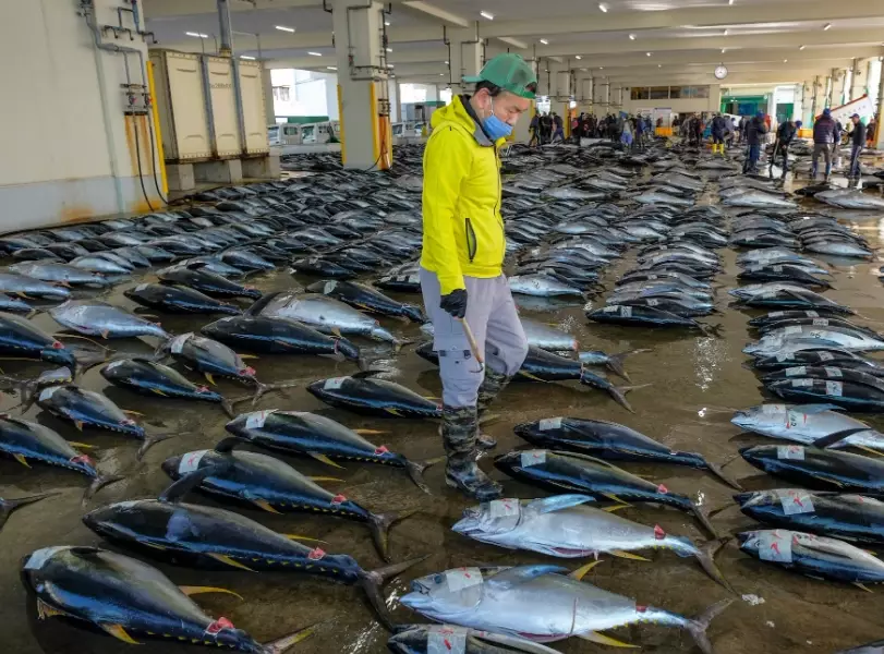 fishing participation statistics